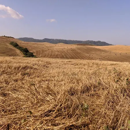 Il Poggio Piu 'n Giu * Volterra